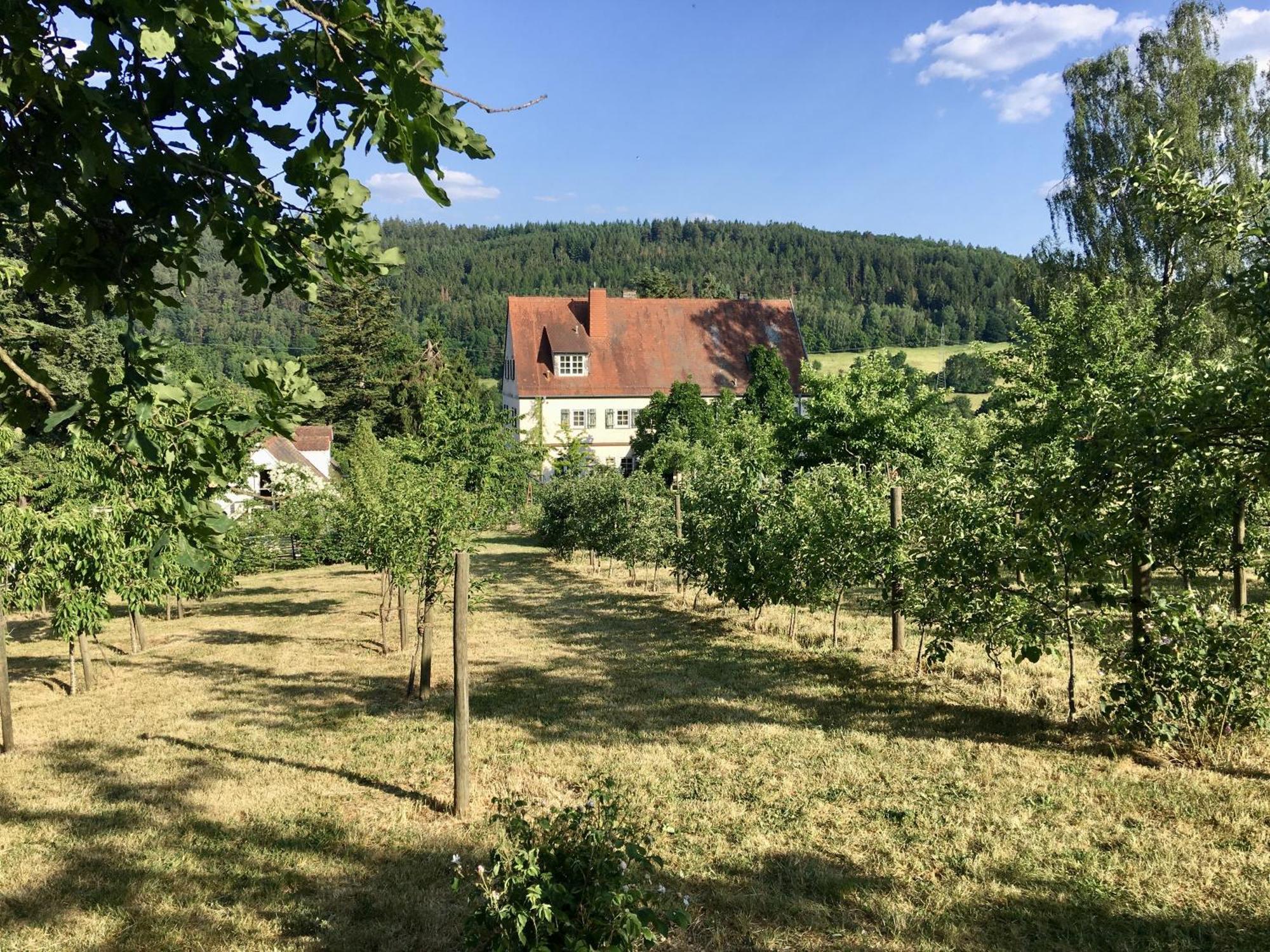 Gaestehaus Altes Forstamt Sinntal Exterior photo